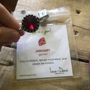 Luca and Danni Silver January Bracelet